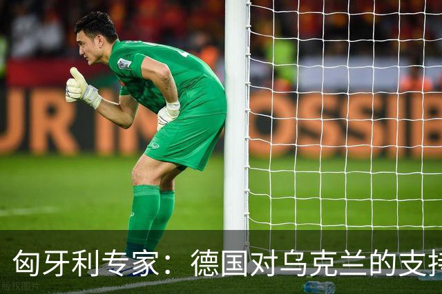 匈牙利专家：德国对乌克兰的支持令人费解